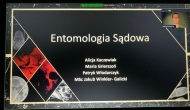 „Entomologia sądowa – owady nekrofilne”