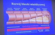 NOWY ROK SZKOLNY - NOWE WYKŁADY
