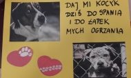Pomoc dla zwierząt